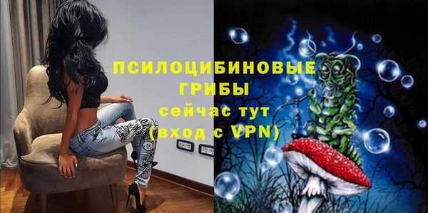 кокс Корсаков
